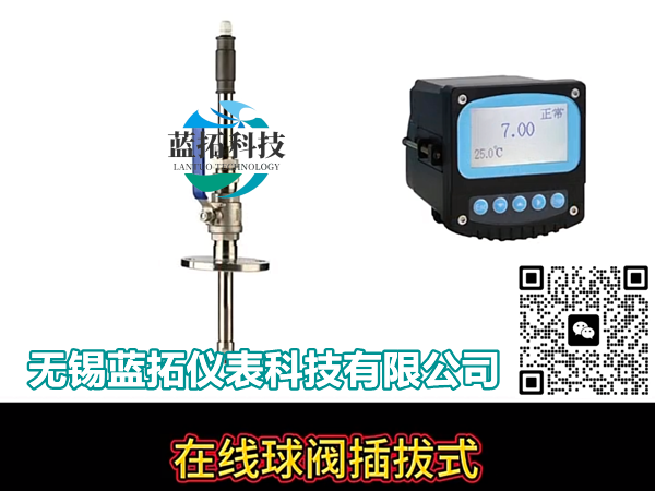 球阀插拔式PH计