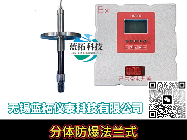 分体防爆法兰式PH计